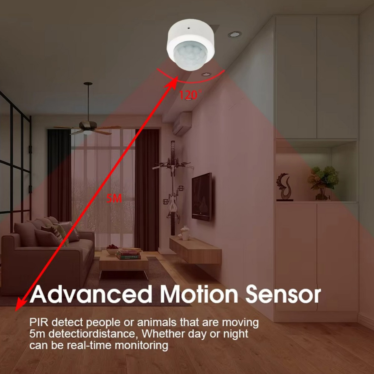 Zigbee PIR Motion Sensor Human - Smart Home Wiser review and price