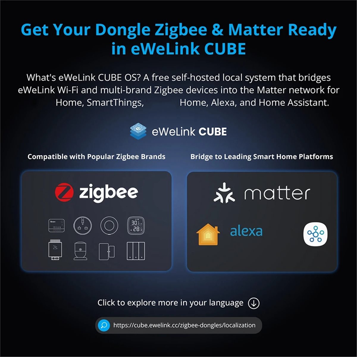 Dongle Plus MG24 Zigbee Thread - Smart Home Plus review and price